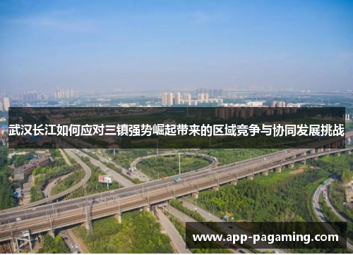 武汉长江如何应对三镇强势崛起带来的区域竞争与协同发展挑战