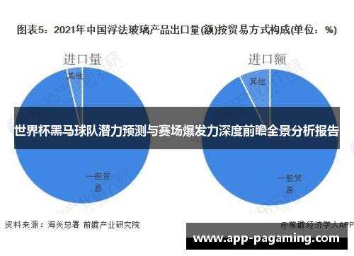 世界杯黑马球队潜力预测与赛场爆发力深度前瞻全景分析报告